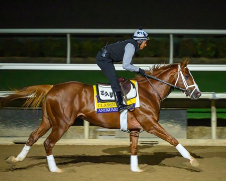 Antiquarian trains ahead of 2025 Breeders' Cup at Del Mar