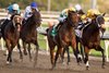 Jockey Jose Campos guides Borealis Trail to victory in the $150,000 (Grade III) Ontario Derby  for owner Chiefswood Stables Limited and trainer Rachel Halden. Woodbine/Michael Burns Photo