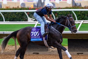 Blackout Time trains Oct. 26 at Del Mar