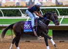 Blackout Time at Del Mar with Breeders’ Cup contenders at Del Mar Thoroughbred Club in Del Mar, CA,  on Oct. 26, 2025.
