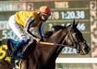 Sumter and jockey Mike Smith win the $80,000 Lure Stakes, Saturday, October 18, 2025 at Santa Anita Park, Arcadia CA.
© BENOIT PHOTO