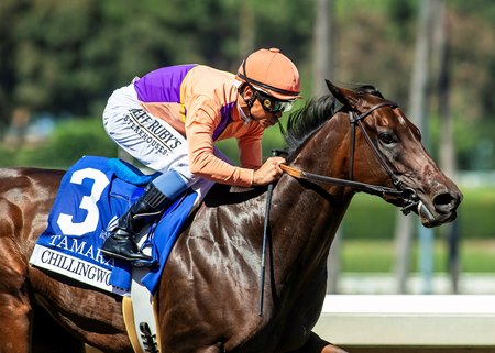 HIWU alleges Tamara tested positive for a controlled medication, methocarbamol, after her victory in the Chillingworth Stakes