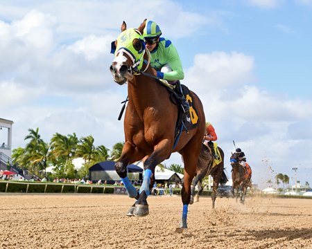 Roger That Dana breaks his maiden at Gulfstream Park