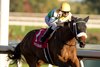 Piper&#39;s Gift wins the 2025 Glorious Song Stakes at Woodbine