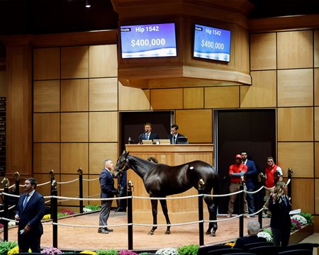 The Yaupon filly consigned as Hip 1542 tops the fourth and final session of the Fasig-Tipton Kentucky October Yearlings Sale