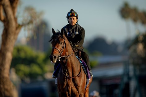 Nysos Rolls to Victory in the Met Mile