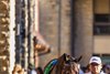 Thorpedo Anna in the paddock
Gin Gin with Luis Saez up wins the Juddmonte Spinster (G1) at Keeneland on Oct. 5, 2025.