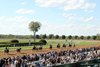 Scenics - Keeneland - 100825