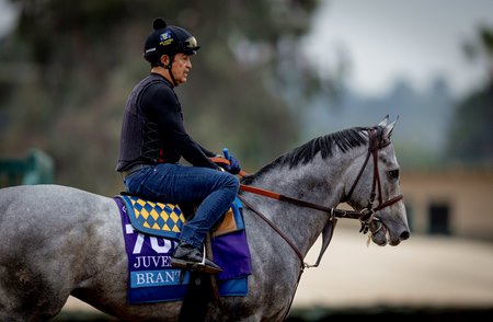 Brant on the track last fall at Del Mar