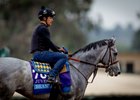 Brant training for the  Breeders’ Cup Juvenile at Del Mar Racetrack in Del Mar, CA on October 27, 2025. Photo By: Alex Evers