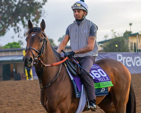 Three-time grade 1 winner Program Trading is the 5-2 morning-line favorite in the Pegasus World Cup Turf Invitational Stakes at Gulfstream Park
