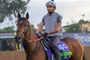 Program Trading
Morning training at Del Mar with Breeders’ Cup contenders at Del Mar Thoroughbred Club in Del Mar, CA,  on Oct. 28, 2025.