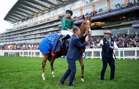 Calandagan after winning the Champion Stakes at Ascot