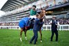 Calandagan (M. Barzalona) after  the Champion Stakes
Ascot 18.10.25 Pic: Edward Whitaker