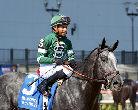 Rated by Merit after winning the 2025 Discovery Stakes at Aqueduct Racetrack