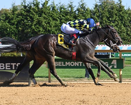 Iron Orchard wins the Frizette Stakes at Aqueduct Racetrack