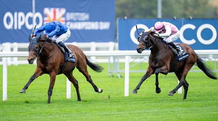 Trawlerman defeats Sweet William in the British Champions Long Distance Cup Stakes at Ascot Racecourse