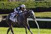 Time to Dazzle, with jockey Jose Ortiz, pull away from the rest of the field in the Gr.II Franklin Stakes at Keeneland on Sunday, October 12th, 2025. This is the Not This Time fillies first Grade 2 score for trainer Mark E. Casse and Owner Tracy Farmer.