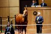 Hip 268, Fasig-Tipton October Sale 2025