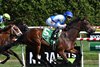 Final Accord wins the 2025 Matron Stakes at Aqueduct Racetrack