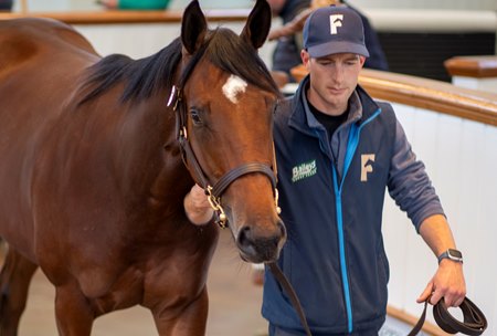 The session-topping Wootton Bassett colt consigned as Lot 477 in the ring at the Tattersalls October Sale