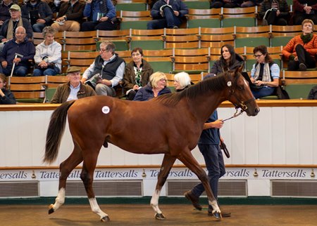 The co-session-topping Frankel colt consigned as Lot 197 in the ring at the Tattersalls October Yearling Sale 