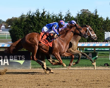 Paladin (outside) crosses the wire second behind Renegade before being elevated to first by disqualification in a maiden race at Aqueduct Racetrack
