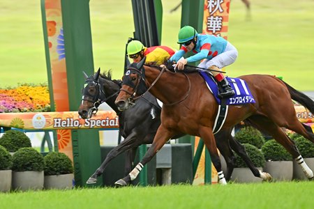 Fillies dash to the finish in the 2025 Shuka Sho at Kyoto Race Course