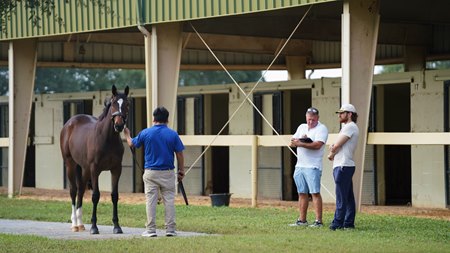 2025 OBS October Yearling Sale