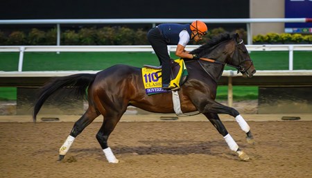 Sovereignty - Horse Profile - BloodHorse