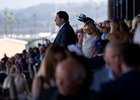 Racegoers in the stands watch the racing
Del Mar 31.10.25 Pic: Edward Whitaker