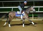 Ted Noffey
Morning training at Del Mar with Breeders’ Cup contenders at Del Mar Thoroughbred Club in Del Mar, CA,  on Oct. 27, 2025.