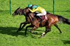 Ridari (green cap) wins the Prix Daniel Wildenstein at Longchamp