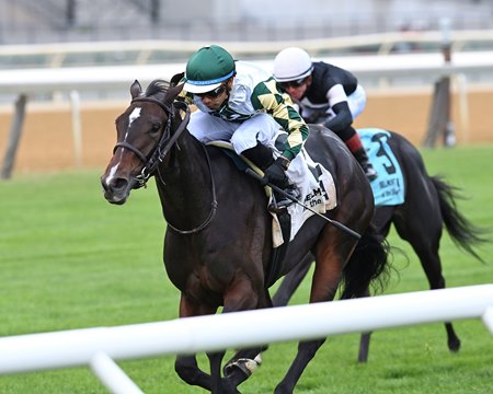 Love Cervere wins the Glen Cove Stakes at Aqueduct Racetrack