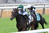 Love Cervere wins the 2025 Glen Cove Stakes at Aqueduct Racetrack