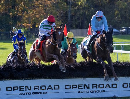 Zanahiyr (left) jumps a fence en route to victory in the 2025 American Grand National Hurdle Stakes at Far Hills