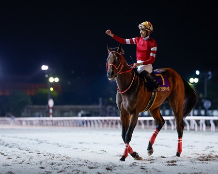 Jockey Ryusei Sakai and Forever Young after winning the Nippon TV Hai at Funabashi Racecourse