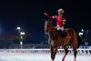 Forever Young wins the 2025 Nippon TV Hai at Funabashi Racecourse