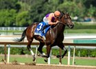 Tamara wins the 2025 Chillingworth Stakes at Santa Anita Park