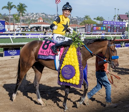 Super Corredora after winning the 2025 Breeders' Cup Juvenile Fillies at Del Mar