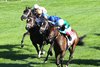 Imaginationthelady wins the 2025 Jessamine Stakes at Keeneland