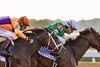 Winner Tommy Jo (3) orange cap, battling down the stretch with Percy&#39;s Bar (1) white cap in the G1 Darley Alcibiades S. for 2 year old fillies. She earned an entry to the Breeder&#39;s Cup Juvenile Fillies.