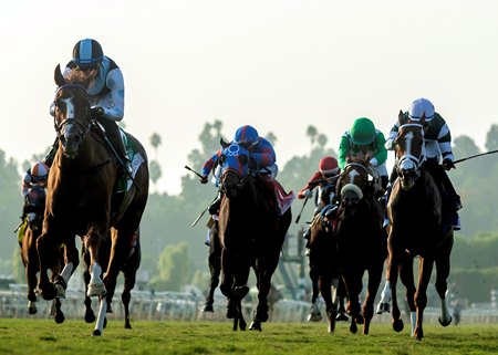 Racing at Santa Anita Park