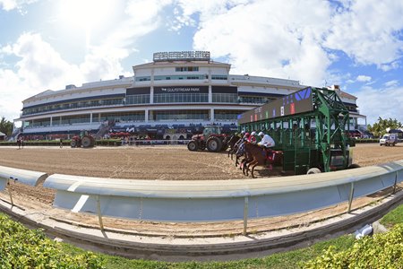 Racing at Gulfstream Park