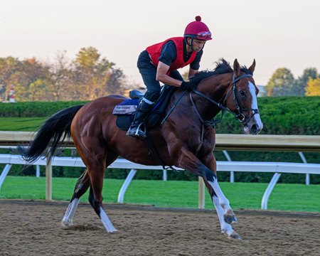 Diego Velazquez trains at Keeneland for the Turf Mile Stakes