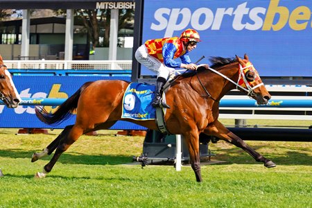 Autumn Boy wins the Caulfield Guineas at Caulfield Racecourse