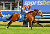 Autumn Boy wins the 2025 Caulfield Guineas at Caulfield Racecourse
ridden by Damien Lane and trained by Chris Waller