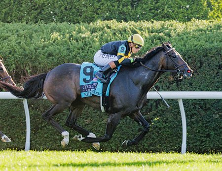 Rhetorical wins the Turf Mile Stakes at Keeneland