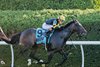 Rhetorical wins the 2025 Turf Mile Stakes at Keeneland