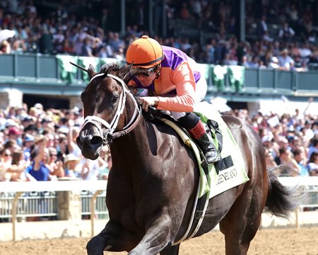 Local Knowledge scores on debut at Keeneland